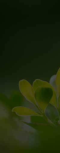 安裝簡(jiǎn)便化
